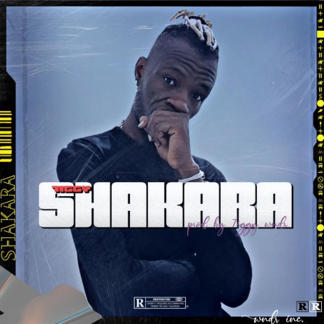 Shakara | Boomplay Music