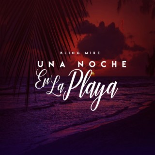 Una Noche En La Playa