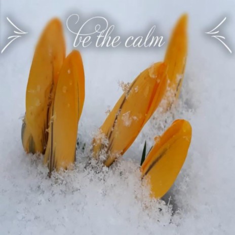 Be The Calm
