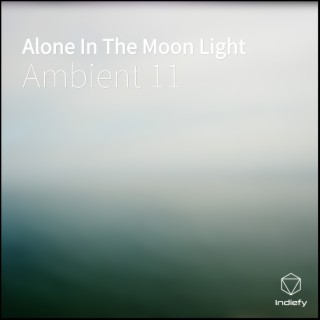 Alone In The Moon Light