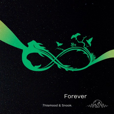 Forever ft. Snook | Boomplay Music