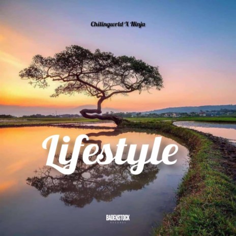 Lifestyle ft. ninja1music | Boomplay Music