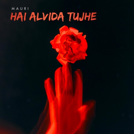 Hai Alvida Tujhe | Boomplay Music