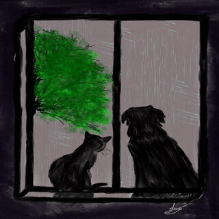 Raining Cats & Dogs