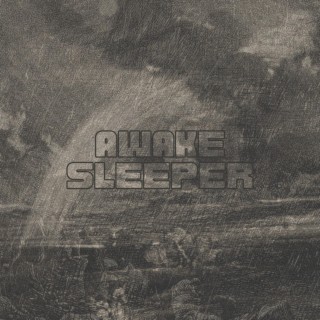 Awake Sleeper