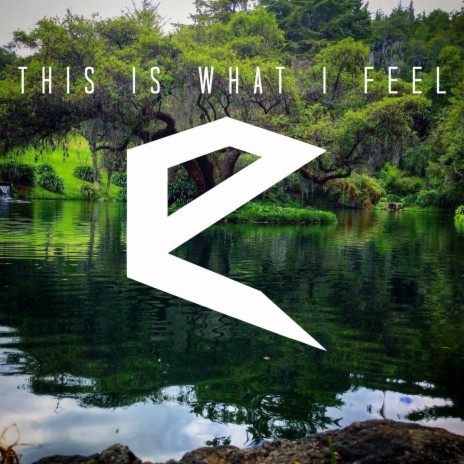 This is What I Feel (Radio Edit) | Boomplay Music