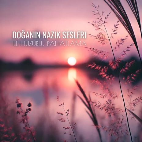 Sessiz İkram | Boomplay Music