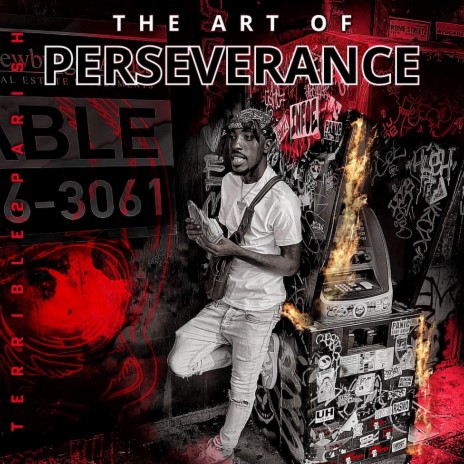 The Art Of Peseverance | Boomplay Music