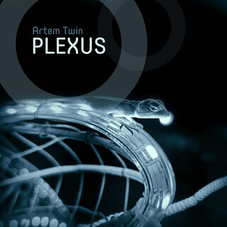 Plexus