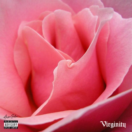 Virginity | Boomplay Music