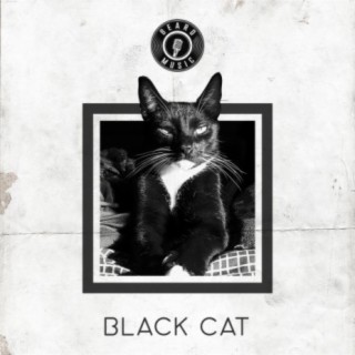 Black cat (Smoke Single)