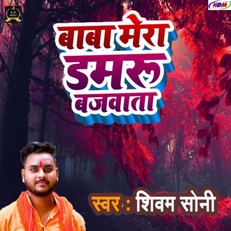 Baba Mera Damru Bajwata | Boomplay Music