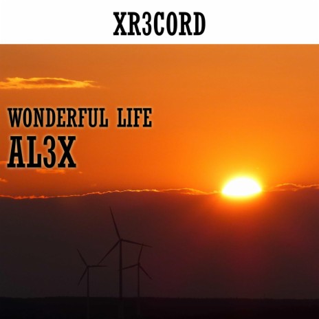 Wonderful life | Boomplay Music