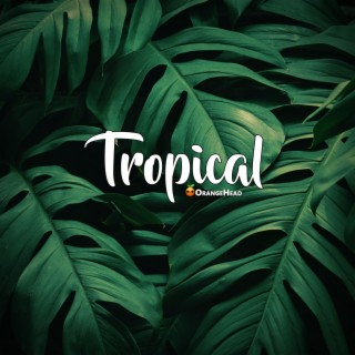 Tropical