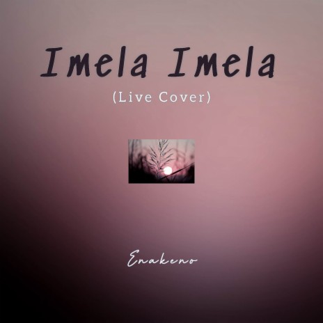 Imela Imela (Live Cover) | Boomplay Music