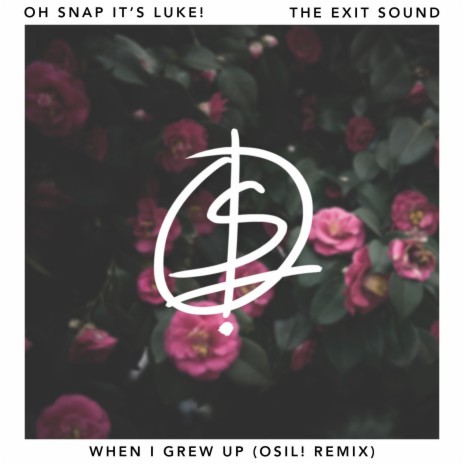 When I Grew Up (Remix) | Boomplay Music