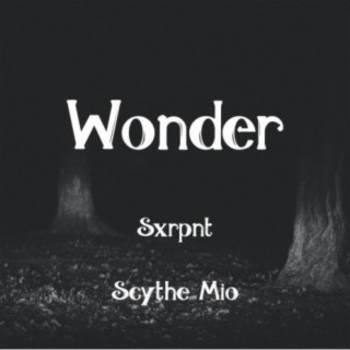 Wonder (feat. Scythe Mio)