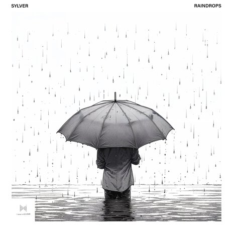 Raindrops | Boomplay Music