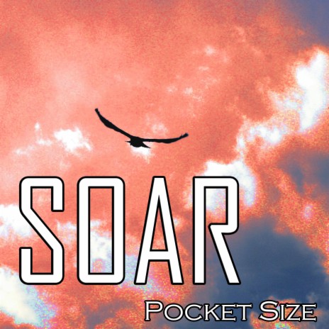 Soar | Boomplay Music