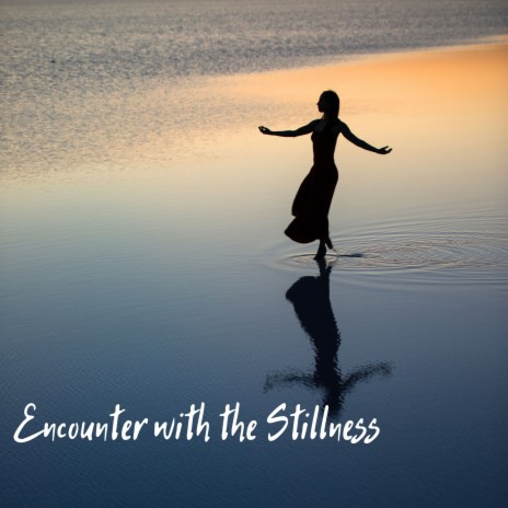 Encounter with the stillness | Boomplay Music