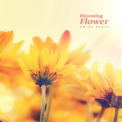 Blooming Flower | Boomplay Music