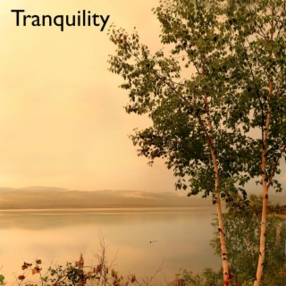 Tranquility