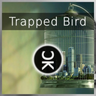 Trapped Bird