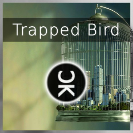 Trapped Bird | Boomplay Music