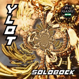 Y.L.Q.T. lyrics | Boomplay Music