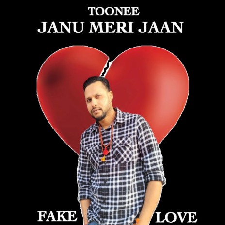 Janu Meri Jaan (Fake Love) | Boomplay Music