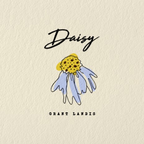 Daisy | Boomplay Music