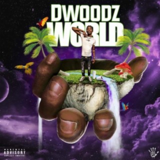 D Woodz World