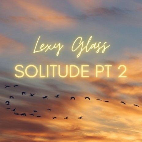 Solitude, Pt.2 | Boomplay Music