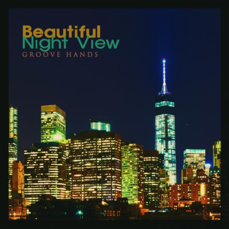 Beautiful Night View | Boomplay Music