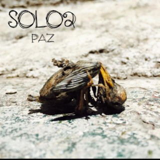 Paz lyrics | Boomplay Music