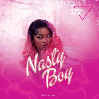 Nasty Boy lyrics | Boomplay Music