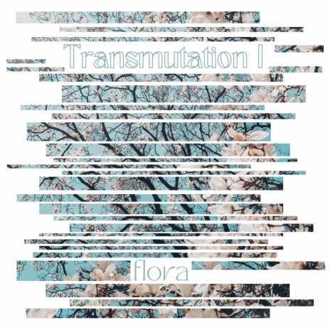 Transmutation I: Flora | Boomplay Music
