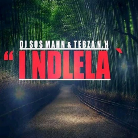 _ I Ndlela` ft. Tebza N.H | Boomplay Music