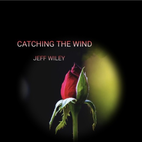 Catching The Wind | Boomplay Music