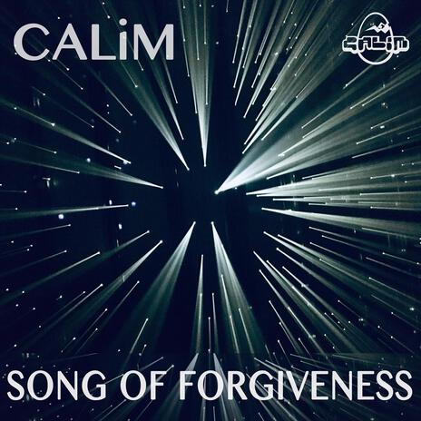 Song of Forgiveness | Boomplay Music