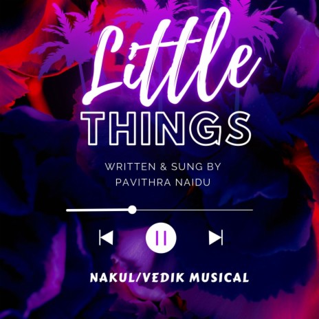 Little Things ft. Pavithra Naidu | Boomplay Music