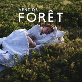 Vent de forêt: Musique de sommeil curative pour les enfants, Vagues de la mer pour dormir, Soulagement de l'insomnie, Nuit paisible