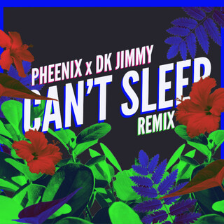 Can't Sleep (Remix)