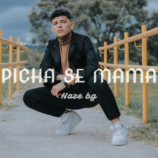 Picha se mama