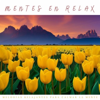 Mentes en Relax: Melodías Relajantes para Calmar la Mente