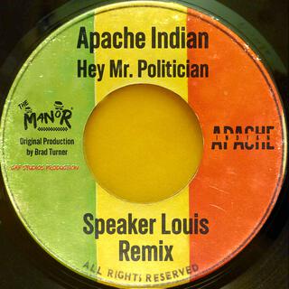 HEY MR. POLITICIAN (REMIX VERSION)