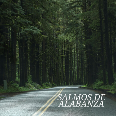 Salmos de Alabanza ft. Alabanzas A Cristo & Grupo Tiempo Nuevo | Boomplay Music