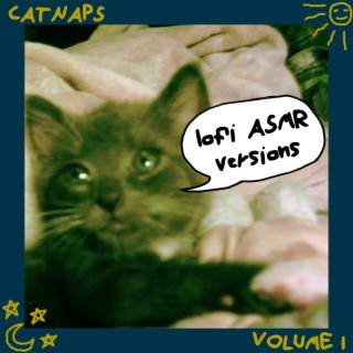 Catnaps, Vol. 1 (lofi ASMR version)