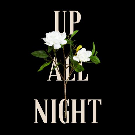 Up All Night | Boomplay Music