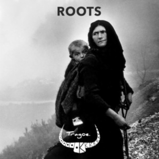 Roots